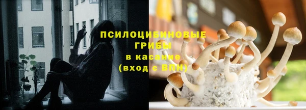 прущие крисы Алзамай