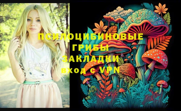 тгк Алексин