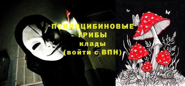 прущие крисы Алзамай