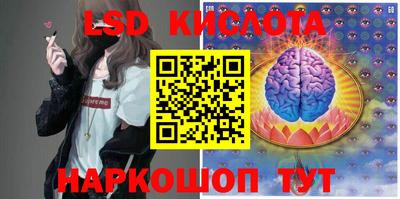 ALPHA PVP Новозыбков