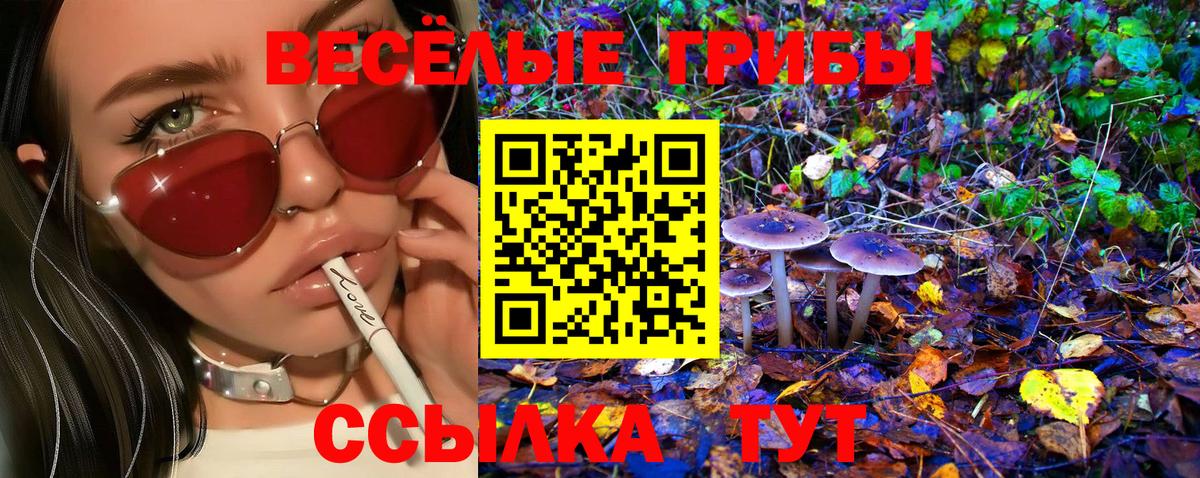 Галлюциногенные грибы мухоморы Родники